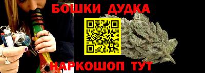 индика Будённовск