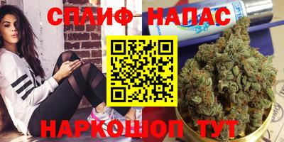 индика Будённовск