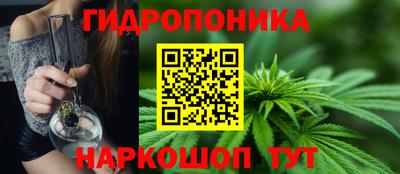 индика Будённовск