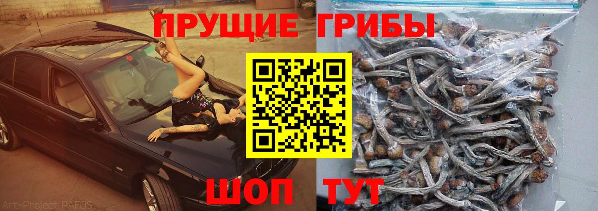Псилоцибиновые грибы прущие грибы Нефтеюганск